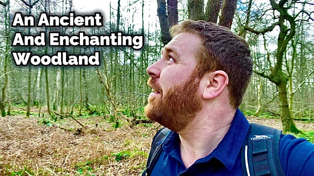 Join Me and Discover a Precious and Ancient Habitat for Wildlife