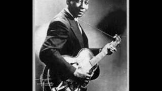 Muddy Waters - I Wanna Go Home