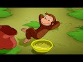 George Feeds The Ducks Curious George Animal Friends