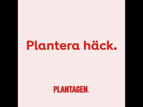 Plantera häck