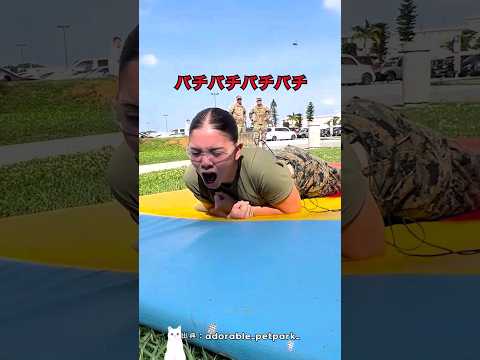 テーザー銃を受けてみる理由