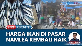 Harga Ikan Naik di Pasar Namlea, Angin Kencang Buat Nelayan di Maluku Kesulitan Panen Ikan