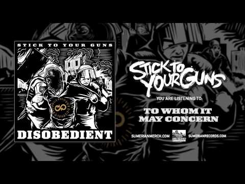 STICK TO YOUR GUNS - To Whom It May Concern