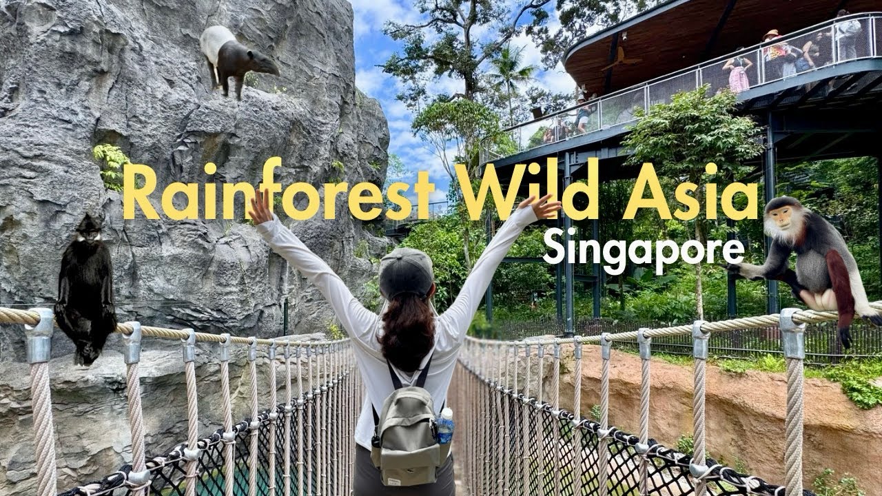 Embark on a captivating video tour of Rainforest's untamed Asia.