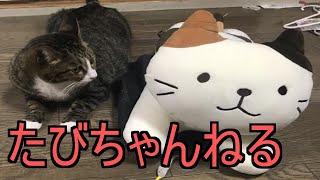 こっそりゲーム枠　とりあえず３DSやって　サターンの動作確認になんかゲームやる