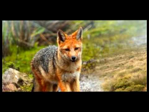 Dereck Recay - Nebula (4 Strings Edit by dj-teXter)