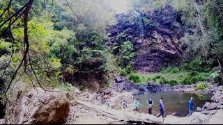preview picture of video 'Bushwalking Excursion (Twin Falls, Springbrook, Queensland)'