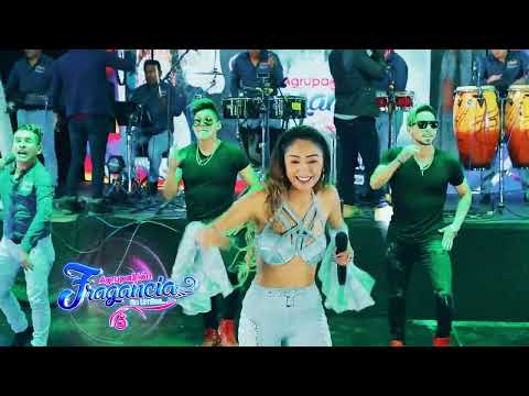 ✅️✅️🇵🇪Amor de Contrabando _Lis Sandra  Fragancia  SIN LIMITES✅️✅️✅️✅️✅️✅️✅️✅️✅️✅️✅️✅️✅️✅️✅️✅️✅️✅️✅️