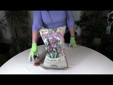 Why You Want to Use Orchid Bark for Your Orchids