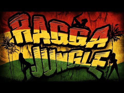 RAGGA JUNGLE - Drum n Bass Mix