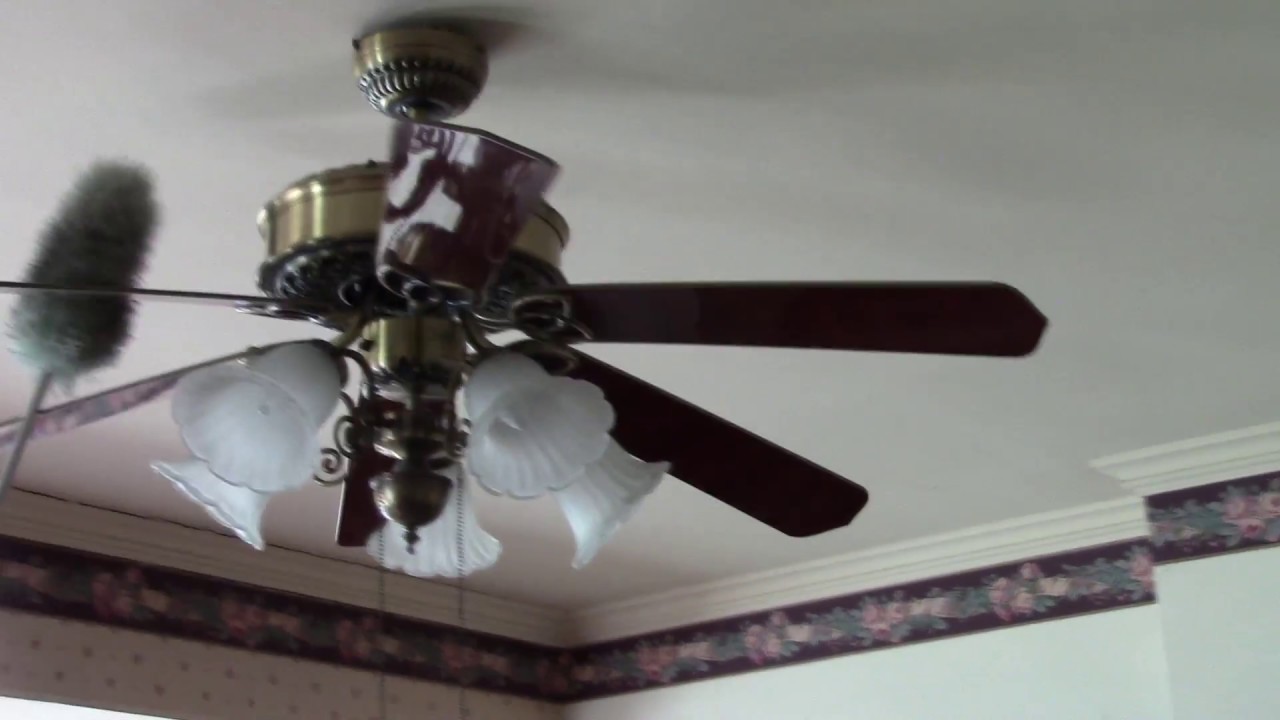 Dirt Doctors Cleaning Services | Dusting | Residential Training