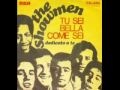 The Showmen - Tu sei bella come sei (1969).flv