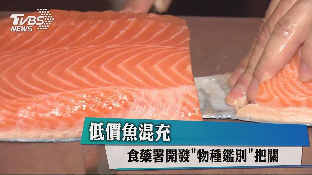 低價魚混充！　食藥署開發「物種鑑別」把關