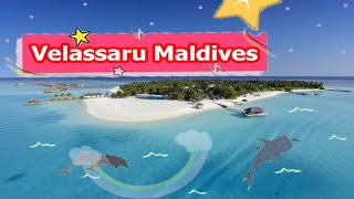 เวลาซารุ , Velassaru Maldives