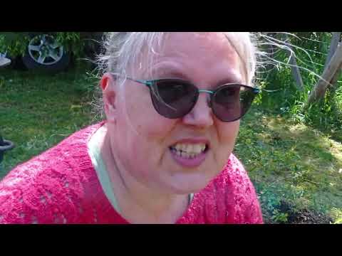 Uusi kukkapenkki kesäkukan taimille