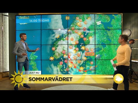 Här är de svenska städerna som toppar soltopplistan! - Nyhetsmorgon (TV4)