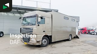 Venta de DAF XF105.410 XF 4X2 NL-Truck JK Horsetruck 6 Horses Pferdentranspor camión para caballos - Imagen 4 | Autoline AR DAF XF105.410 XF 4X2 NL-Truck JK Horsetruck 6 Horses Pferdentranspor camión para caballos | Imagen 4 - Autoline