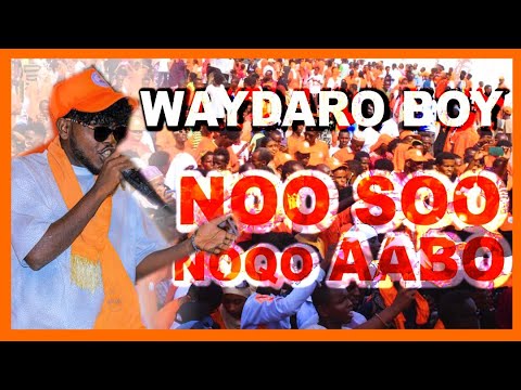 WAYDARO BOY -  NOO SOO NOQO AABO AABO - FRUD CONGRÉS - OFFICIAL VIDEO - RTD MUSIC PRODUCTION 2025