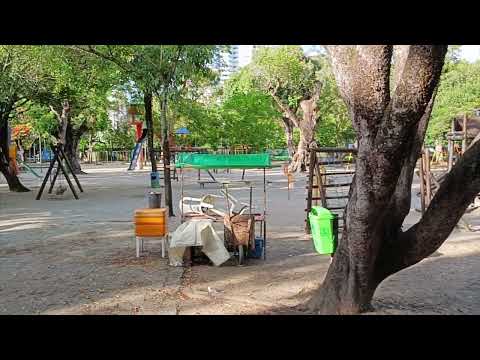 PARQUE DA JAQUEIRA - RECIFE - PE