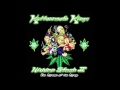 Kottonmouth Kings - Hidden Stash II - Brain On Drugs