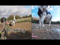 Tack Up And Ride With Me Falling Off Bolting Go Pro Footage
