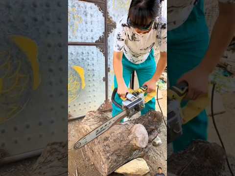 เปลี่ยนตอไม้ให้กลายเป็นบ้านน้องหมาสุดน่ารัก