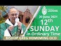 Catholic Mass Today 12th Sunday in Ordinary Time 20 June 2021 Bishop Greg Homeming Lismore Australia