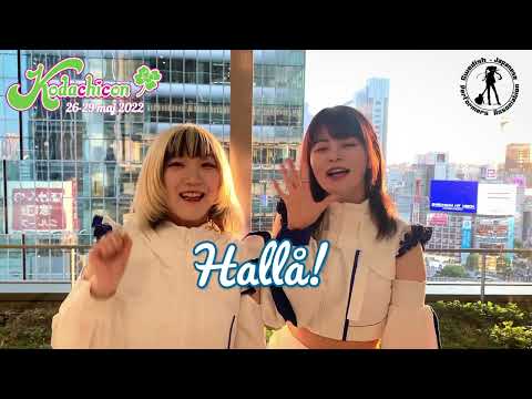 FiDZ on travelling to Kodachicon in Sweden