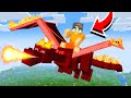 We Adopted Dragons in Minecraft!