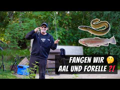 Die besten Tipps für Forelle & Aal – Erfolgreich am Forellensee