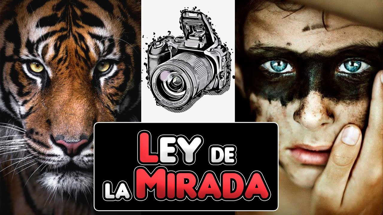 📸Composicion Fotografica | La LEY de la MIRADA