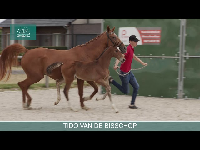 TIDO VD BISSCHOP
