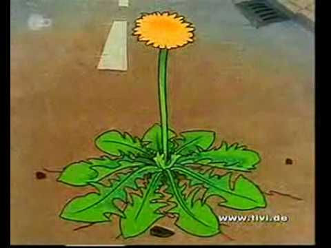 Kool Savas feat. P. Lustig - Löwenzahn