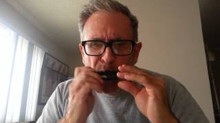 Video thumbnail for Hohner Pro Harp vs. Suzuki Olive (C maj) by brotherDougE