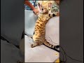 Give This Video A Title Wrong Answers Only Part 3