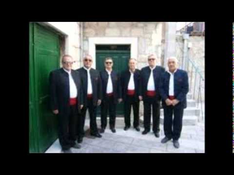 Klapa Lučica-Žuta kosa odgojena