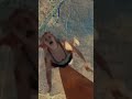Hunters Death Fallmovie Fall Sad Fyp