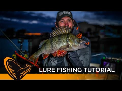 Lure Fishing for Perch Tutorial – Robbie Northman