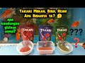 Takari Bisa Buat Makanan Ikan Semua Ikan Hias