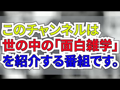 セブンイレブンの雑学５選 平岡マサキさん Youtube動画編集のご依頼受付中 のポートフォリオ ココナラ