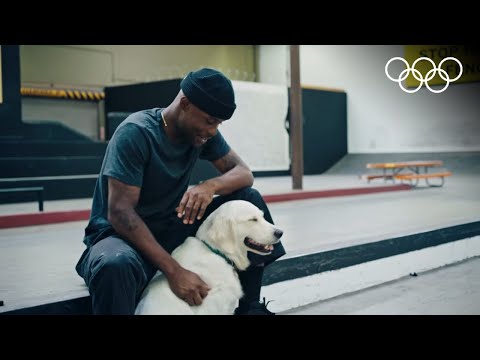 Meet the Olympian support dogs! 🐶