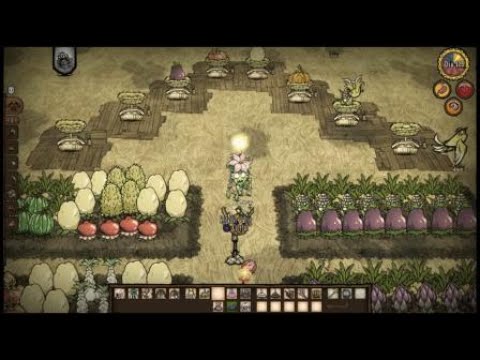 Wormwood vs Plantação - Don't Starve Together