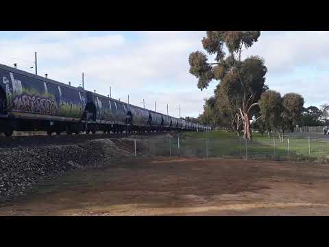 QUBE loco grain GML 80 class