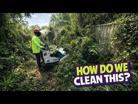 Is this the worst yard we've ever seen? Where do you even start?