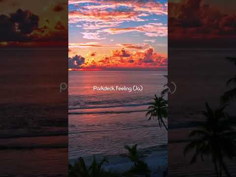 "FEHLST MIR WIEDER" - Young Richie Rich (Remix)