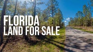 Florida Land for Sale | Owner Financed!