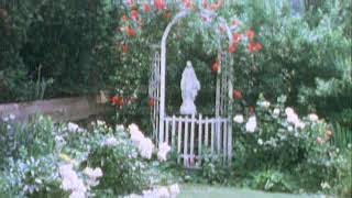 Grandma&#39;s Garden