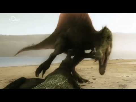 Spinosaurus vs Sarcosuchus