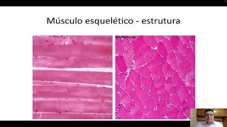 Histologia do tecido muscular
