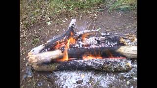 Santiago Bernhardt - I Don&#39;t Wanna Leave You on the Farm [Ween Cover]